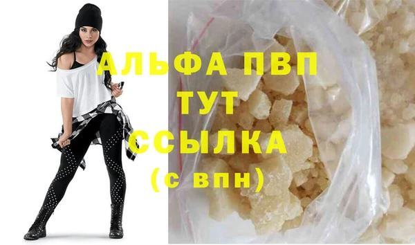 ПСИЛОЦИБИНОВЫЕ ГРИБЫ Богданович