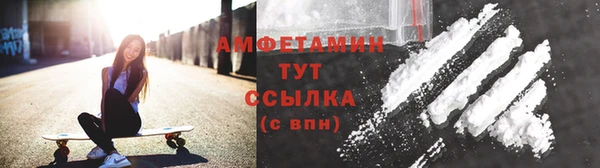 ПСИЛОЦИБИНОВЫЕ ГРИБЫ Богданович