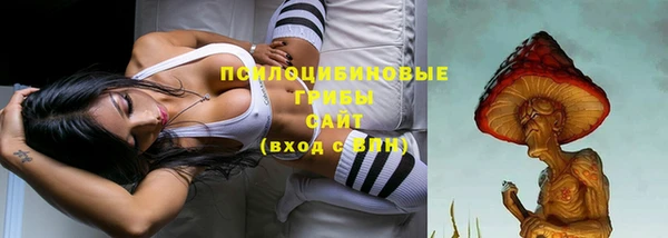 ПСИЛОЦИБИНОВЫЕ ГРИБЫ Богданович