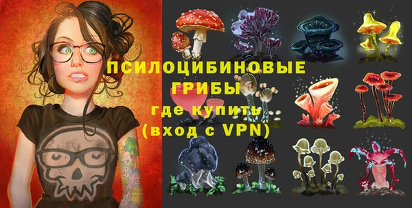 не бодяженный Богородск