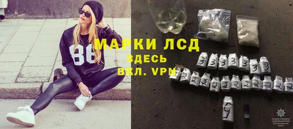 ПСИЛОЦИБИНОВЫЕ ГРИБЫ Богданович
