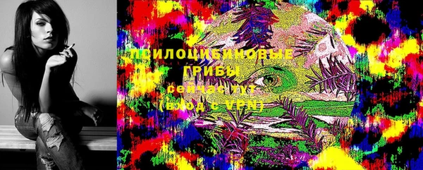 ПСИЛОЦИБИНОВЫЕ ГРИБЫ Богданович